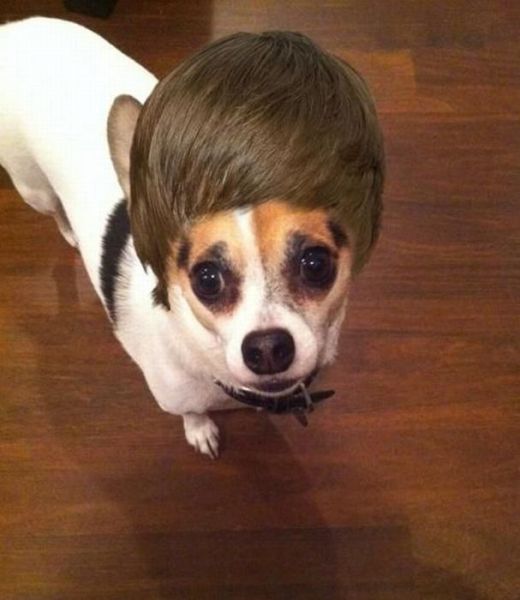 daily picdump 91 pics 13.html - 91 HD Photos | Premium Gallery 2011