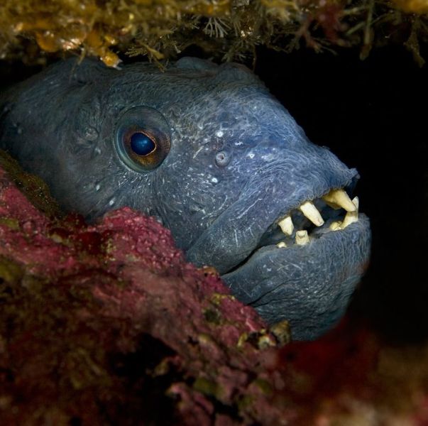 daily picdump 91 pics 13.html - 91 HD Photos | Premium Gallery 2011