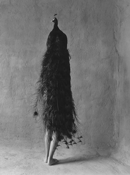 morning picdump 58 pics 1.html - 58 HD Photos | Premium Gallery 2011