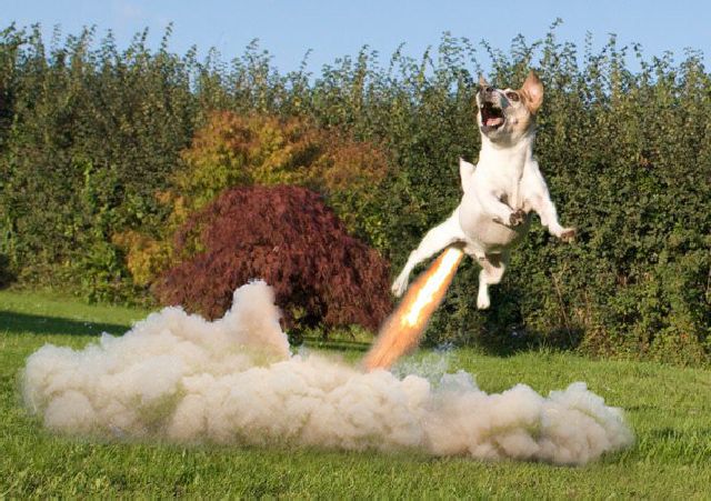 morning picdump 58 pics 10.html - 58 HD Photos | Premium Gallery 2011