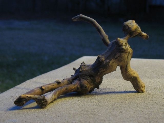 morning picdump 58 pics 10.html - 58 HD Photos | Premium Gallery 2011