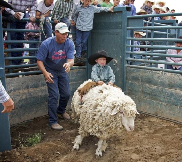 morning picdump 58 pics 10.html - 58 HD Photos | Premium Gallery 2011