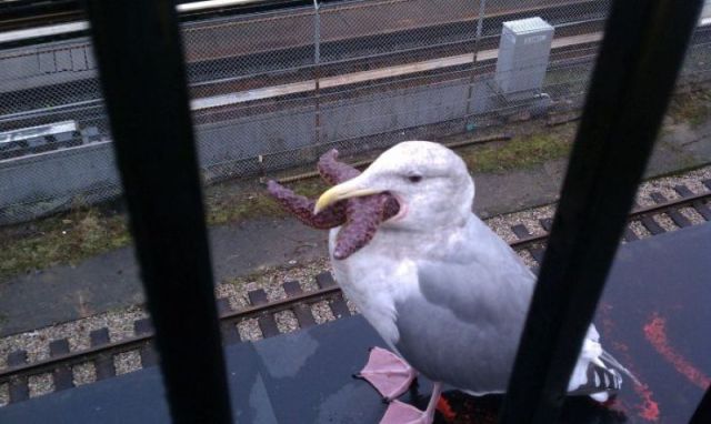 morning picdump 59 pics 1.html - 59 HD Photos | Premium Gallery 2011