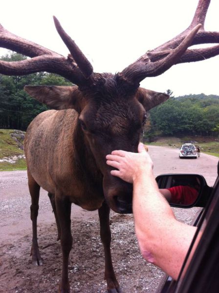 morning picdump 59 pics 1.html - 59 HD Photos | Premium Gallery 2011