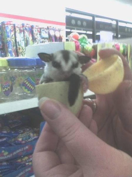 morning picdump 59 pics 1.html - 59 HD Photos | Premium Gallery 2011