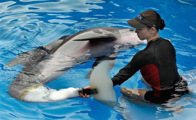 morning picdump 68 pics 2.html - 68 HD Photos | Premium Gallery 2011