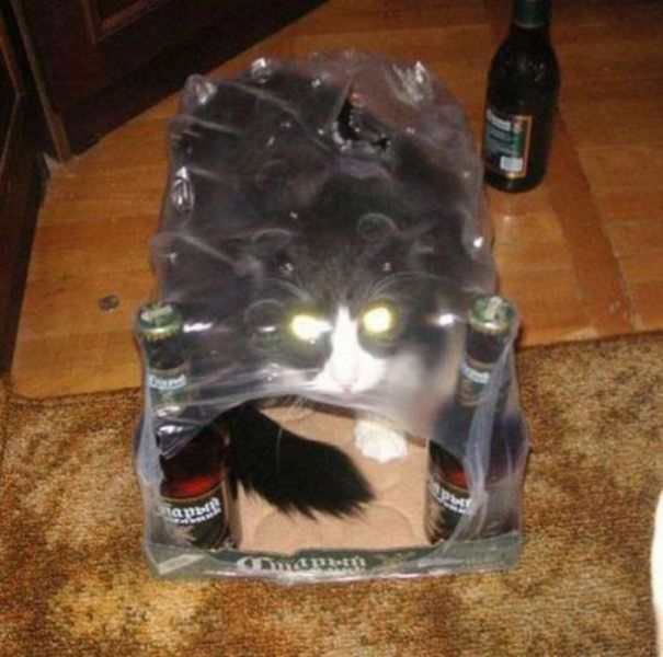 morning picdump 68 pics 2.html - 68 HD Photos | Premium Gallery 2011