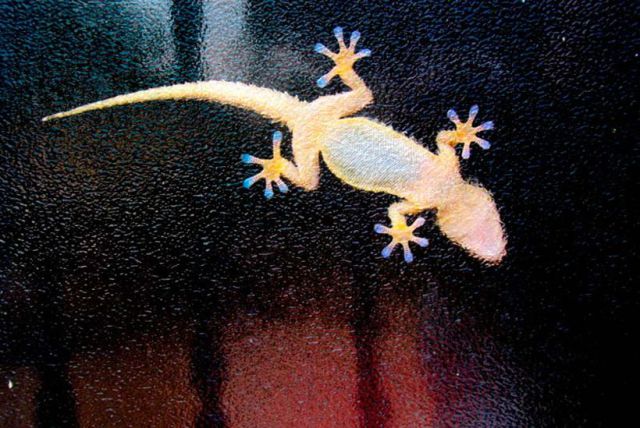 morning picdump 68 pics 2.html - 68 HD Photos | Premium Gallery 2011