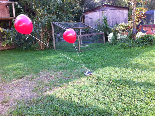 morning picdump 68 pics 2.html - 68 HD Photos | Premium Gallery 2011