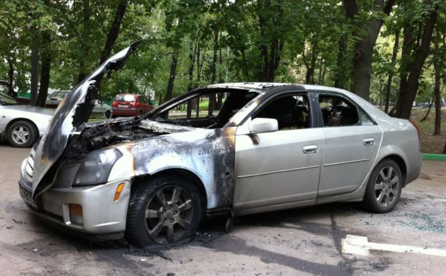 morning picdump 68 pics 2.html - 68 HD Photos | Premium Gallery 2011