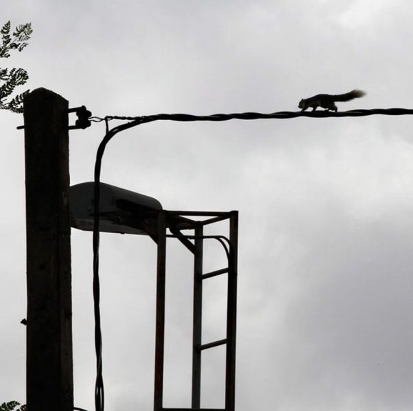 morning picdump 68 pics 2.html - 68 HD Photos | Premium Gallery 2011