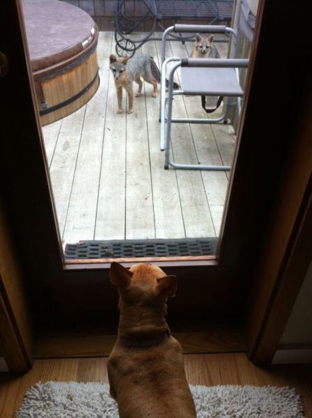 morning picdump 68 pics 2.html - 68 HD Photos | Premium Gallery 2011