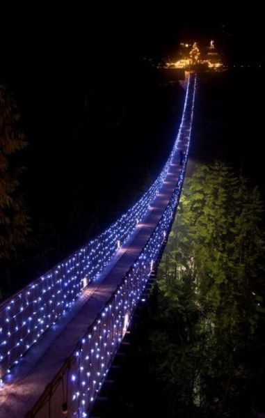 morning picdump 63 pics 2.html - 63 HD Photos | Premium Gallery 2011