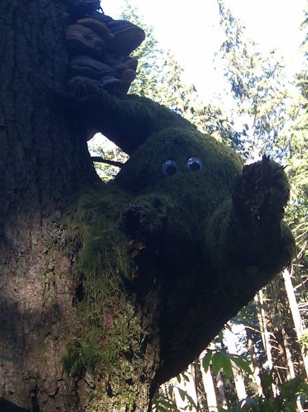 morning picdump 63 pics 2.html - 63 HD Photos | Premium Gallery 2011