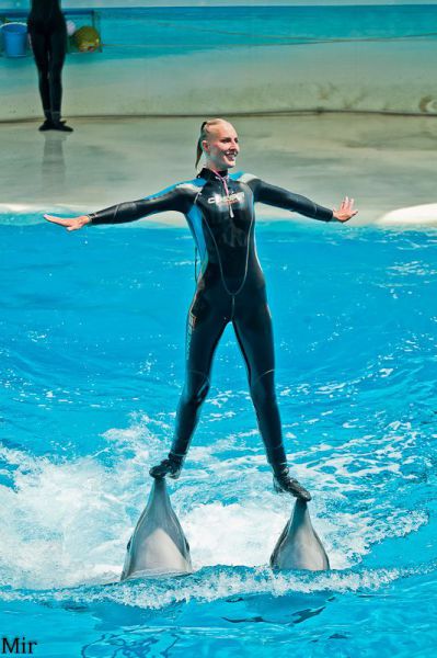 morning picdump 63 pics 2.html - 63 HD Photos | Premium Gallery 2011