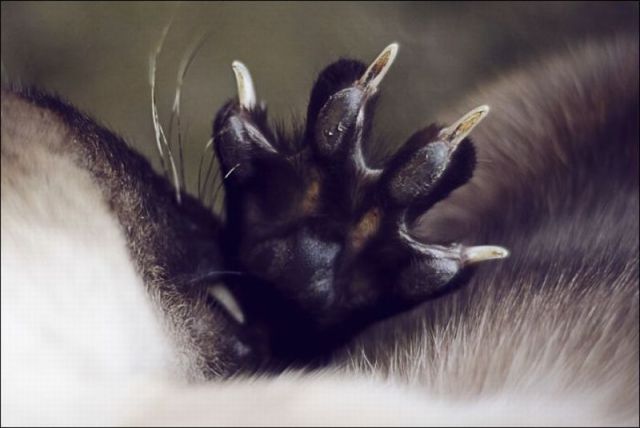 morning picdump 66 pics 2.html - 66 HD Photos | Premium Gallery 2011