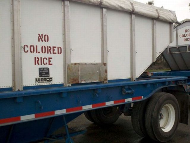 morning picdump 66 pics 2.html - 66 HD Photos | Premium Gallery 2011