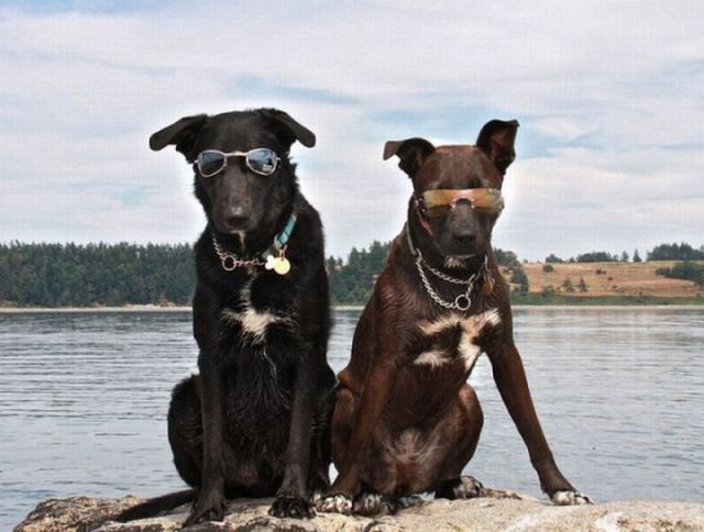 morning picdump 66 pics 2.html - 66 HD Photos | Premium Gallery 2011