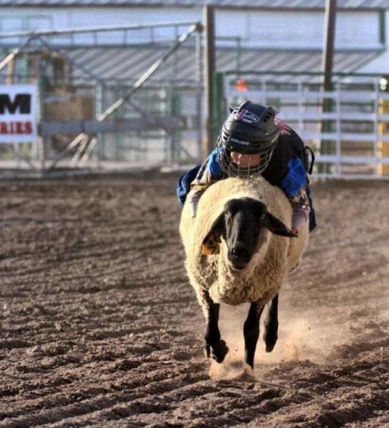 morning picdump 66 pics 2.html - 66 HD Photos | Premium Gallery 2011