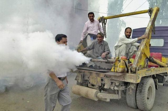 morning picdump 66 pics 2.html - 66 HD Photos | Premium Gallery 2011