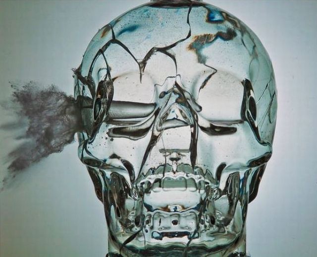 morning picdump 73 pics 18.html - 73 HD Photos | Premium Gallery 2011