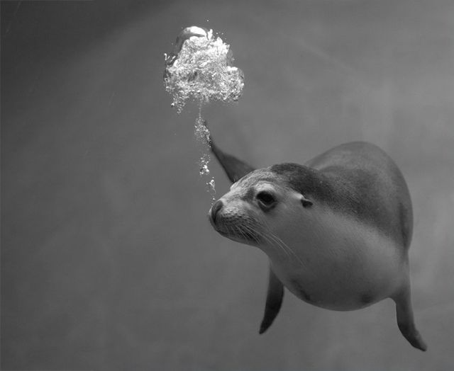 morning picdump 73 pics 18.html - 73 HD Photos | Premium Gallery 2011