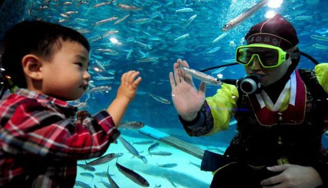 morning picdump 73 pics 18.html - 73 HD Photos | Premium Gallery 2011