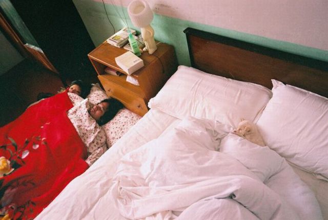 morning picdump 73 pics 18.html - 73 HD Photos | Premium Gallery 2011