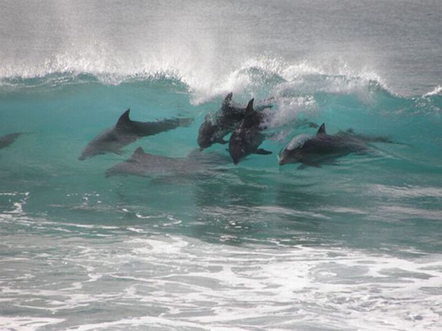 morning picdump 64 pics 7.html - 64 HD Photos | Premium Gallery 2011