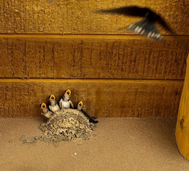 morning picdump 64 pics 7.html - 64 HD Photos | Premium Gallery 2011