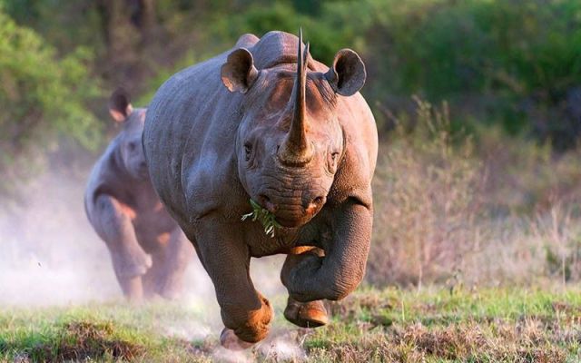 morning picdump 64 pics 7.html - 64 HD Photos | Premium Gallery 2011