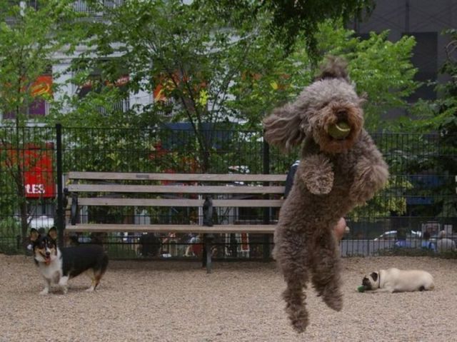 morning picdump 64 pics 7.html - 64 HD Photos | Premium Gallery 2011