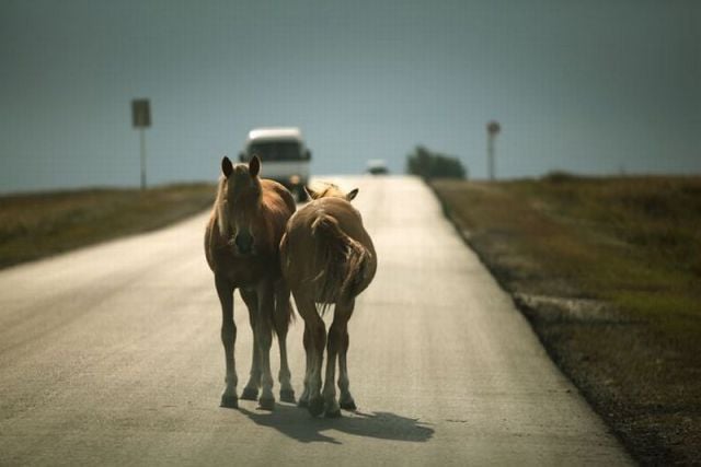 morning picdump 68 pics 9.html - 68 HD Photos | Premium Gallery 2011