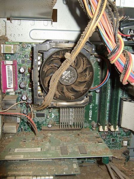 morning picdump 68 pics 9.html - 68 HD Photos | Premium Gallery 2011