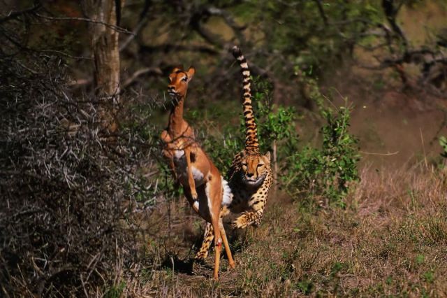 morning picdump 68 pics 9.html - 68 HD Photos | Premium Gallery 2011