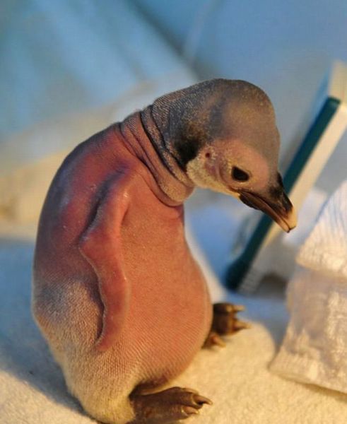 morning picdump 68 pics 9.html - 68 HD Photos | Premium Gallery 2011