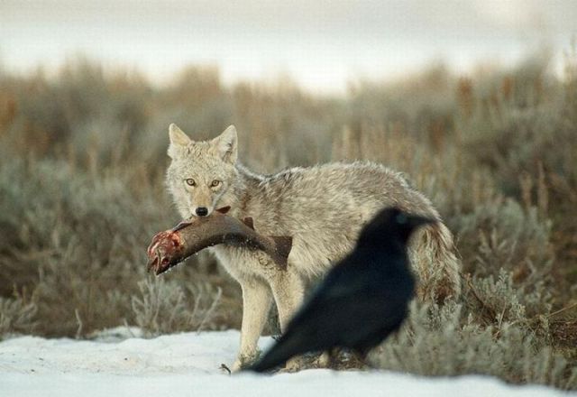 morning picdump 68 pics 9.html - 68 HD Photos | Premium Gallery 2011