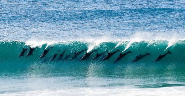 morning picdump 68 pics 9.html - 68 HD Photos | Premium Gallery 2011