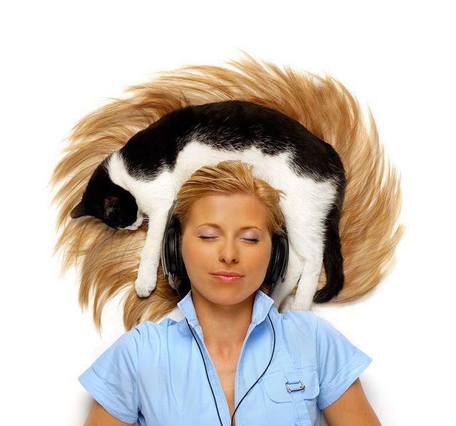 morning picdump 68 pics 9.html - 68 HD Photos | Premium Gallery 2011