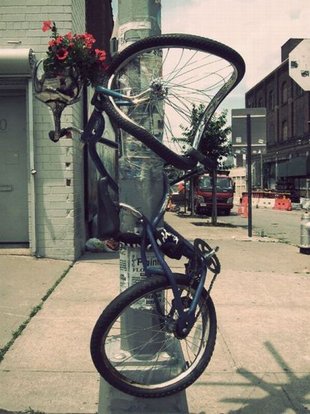 morning picdump 71 pics 21.html - 71 HD Photos | Premium Gallery 2011