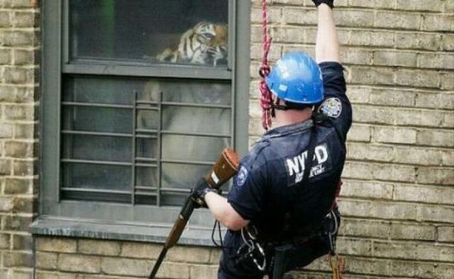 morning picdump 71 pics 21.html - 71 HD Photos | Premium Gallery 2011