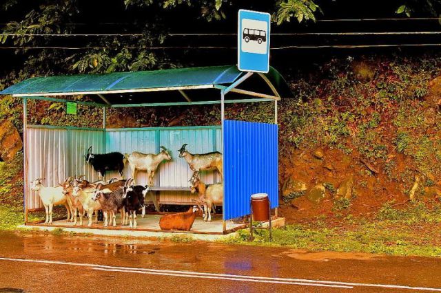 morning picdump 71 pics 21.html - 71 HD Photos | Premium Gallery 2011