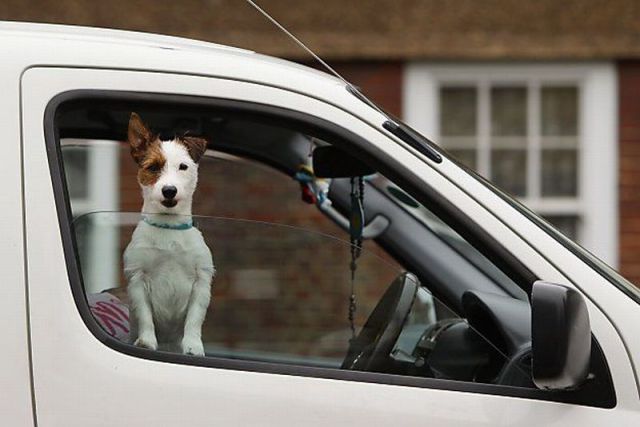 morning picdump 70 pics 17.html - 70 HD Photos | Premium Gallery 2011