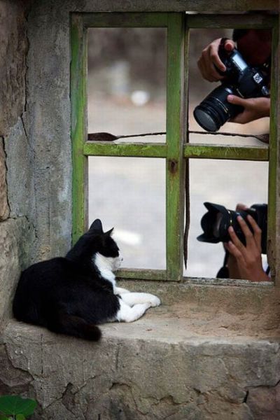 morning picdump 70 pics 17.html - 70 HD Photos | Premium Gallery 2011