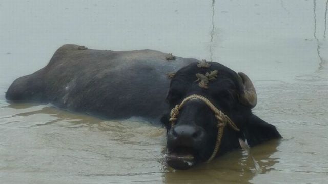 morning picdump 58 pics 13.html - 58 HD Photos | Premium Gallery 2011