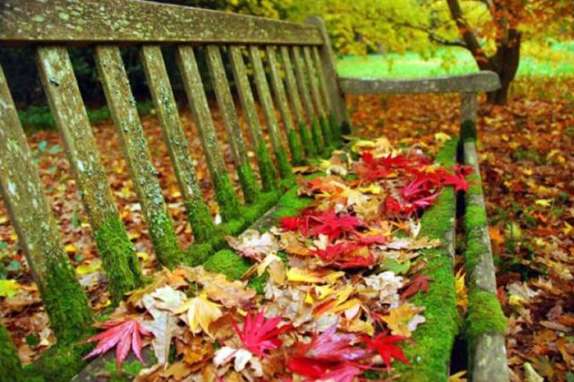 morning picdump 61 pics 23.html - 61 HD Photos | Premium Gallery 2011