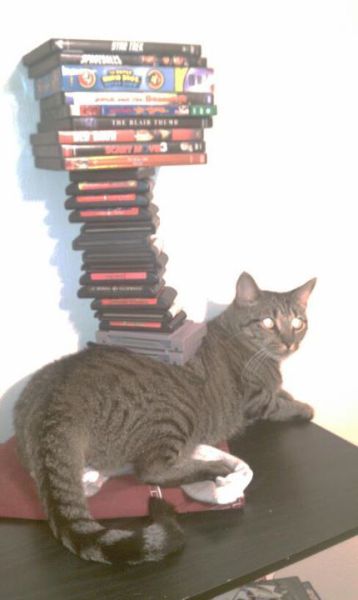 morning picdump 61 pics 23.html - 61 HD Photos | Premium Gallery 2011