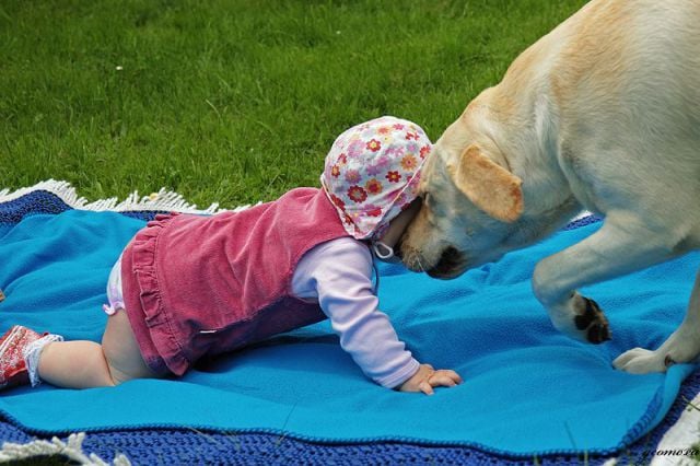 daily picdump 85 pics 3.html - 85 HD Photos | Premium Gallery 2011