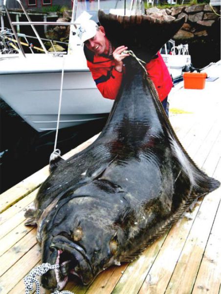 daily picdump 85 pics 3.html - 85 HD Photos | Premium Gallery 2011