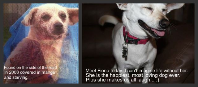 daily picdump 85 pics 3.html - 85 HD Photos | Premium Gallery 2011